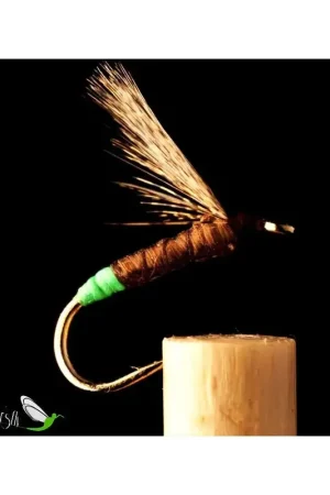 Mouche Noyée Sarnosa Hembra Offre Limitée