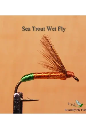 Bon Plan Mouche Noyé Truite de Mer Soie Brown Clair et Vert
