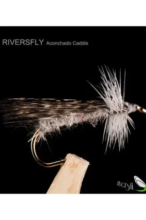 Acheter En Ligne Sedge Aconchado