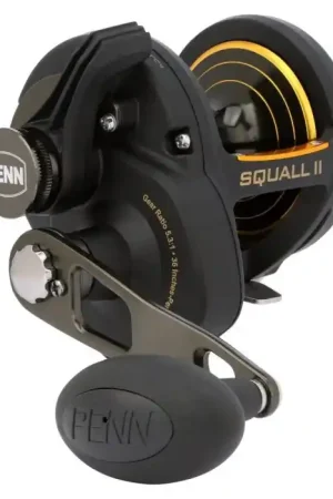 Réduction Moulinet traine Penn Squall II Lever Drag 30