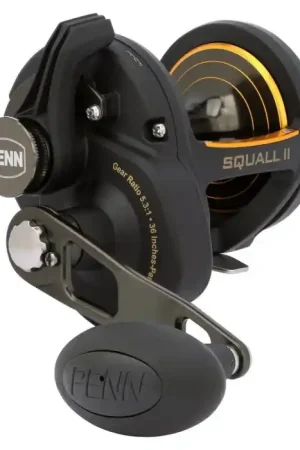 Moulinet traine Penn Squall II Lever Drag 40 Authentique
