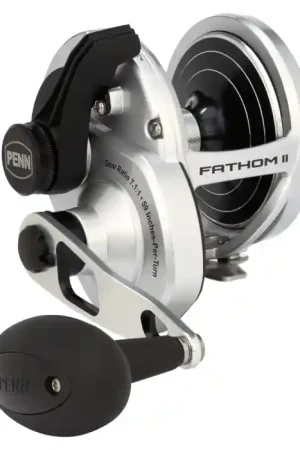 Seulement Aujourd'hui Moulinet traine Penn Fathom II Lever Drag 40