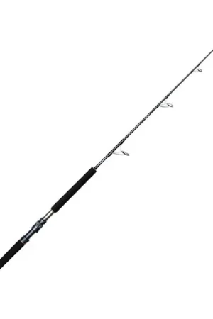 Dernière Chance Canne spinning Penn Battalion Solid Tuna Broumé K-Type