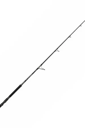 Acheter Direct Canne spinning Penn Marine Brigade Popping