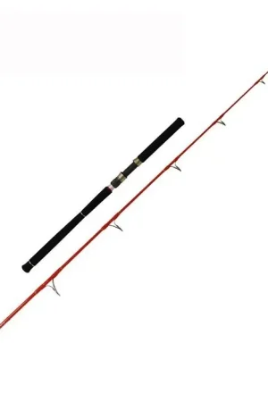 Canne Mer TenRyu Furrary Racing 80 LB Expédition Rapide