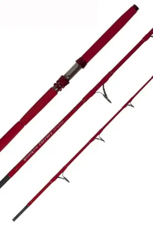 Bon Plan Canne TenRyu Furrary Travel 80 LB