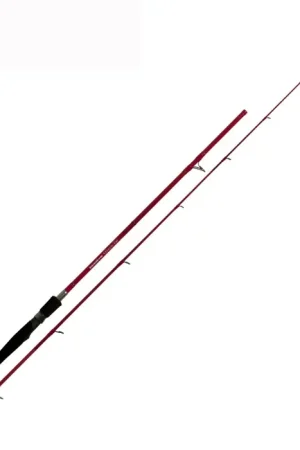 Prix Bas Canne TenRyu Queen Taï