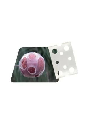 Vente Flash Boilies Protec Prowess 27 mm X 10