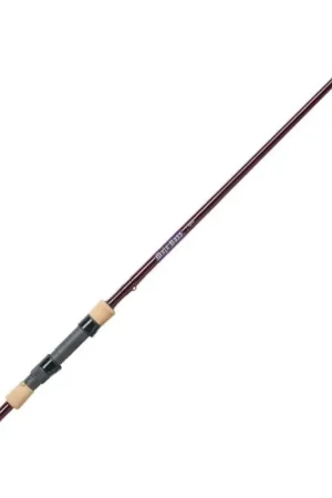 Affaire À Saisir Canne St.Croix Mojo Bass - Casting 6'8 M jerkbait