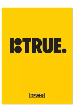 DVD PLAN B true Commander Maintenant