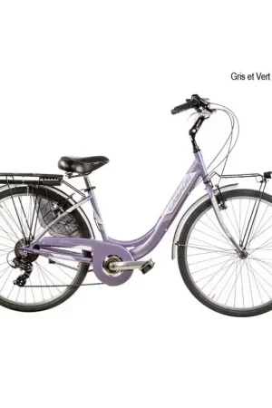 Vélo CASADEI venere 26x1.75 alu 7v h40 gris vert Nouveauté