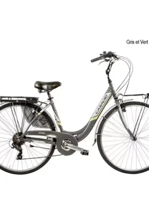 Meilleur Prix Vélo CASADEI venere 28 alu 6v h46 gris vert