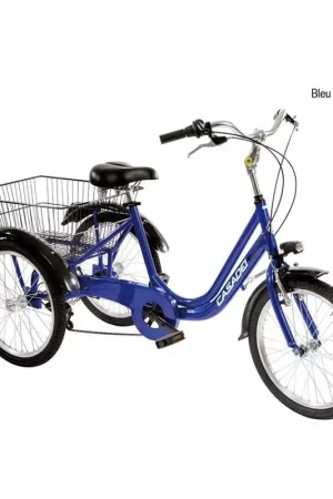 Commander Maintenant Vélo CASADEI tricycle 20 6v h42 Bleu