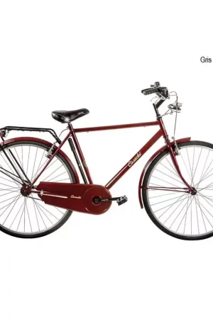 Produit De Marque Vélo CASADEI olanda 28 homme h58 Gris