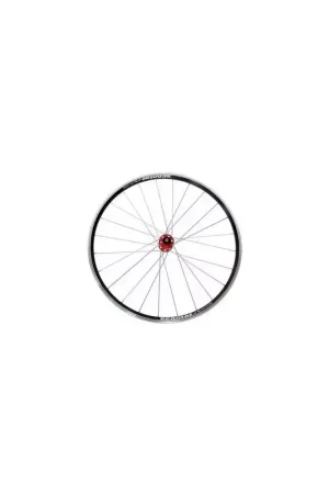 26´´ Wheelset Dragon Line 100 mm Nouvelle Collection
