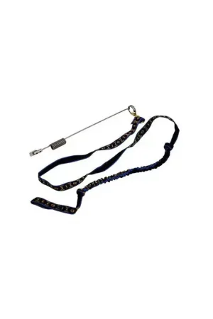 Dernier Modèle DOG Packet