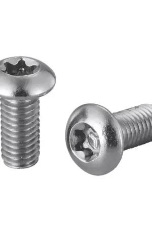 Expédition Rapide ELVEDES 100 Torx Head Stainless vis de disque