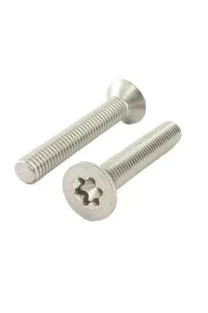 Super Prix Vis Foil Inox (Tête fraisée, Torx) M6x16mm