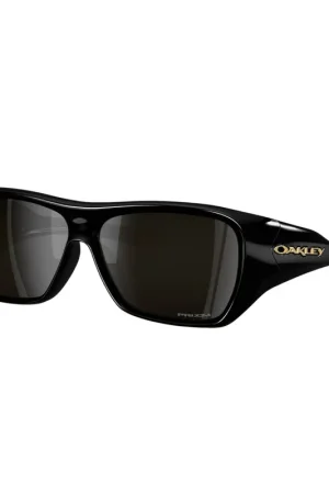 Expédié Aujourd'hui LUNETTES OAKLEY CHAMINADE
