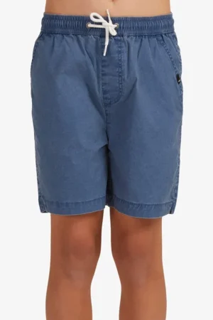 SHORTS QUIKSILVER TAXER Meilleur Prix