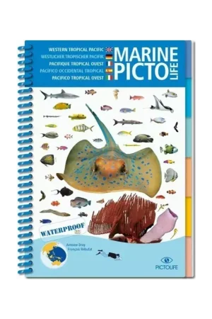 Bon Plan Marine Picto Life – Pacifique Tropical Ouest (EN/DE/FR/ES/IT)