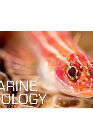 Kit Numérique Marine Ecology - SSI Quantité Limitée