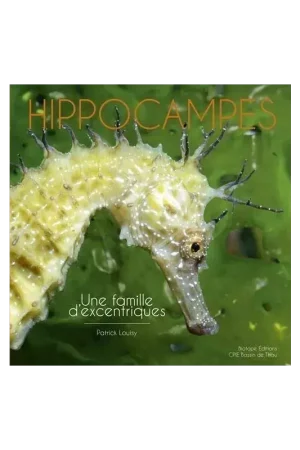 Meilleur Choix Hippocampes : Une famille d'excentriques