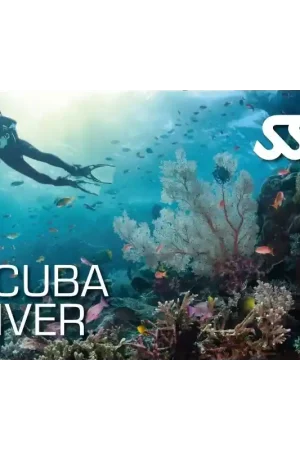 Seulement Aujourd'hui KIT NUMÉRIQUE SCUBA DIVER - SSI