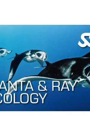 KIT NUMÉRIQUE MANTA & RAY ECOLOGY - SSI Livraison Express