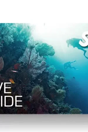 Remise Formation Professionnelle Dive Guide - SSI