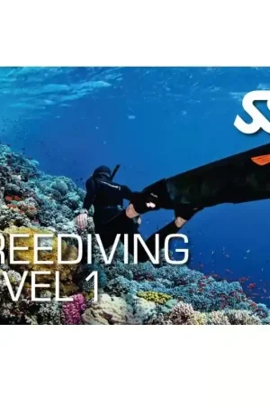 KIT NUMÉRIQUE FREEDIVING NIVEAU 1 - SSI Usine Directe
