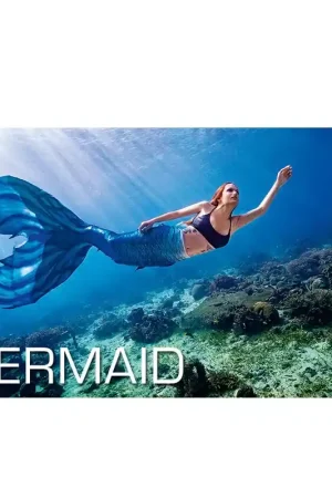 Kit Numérique Mermaid (Sirène) - SSI Retour Gratuit