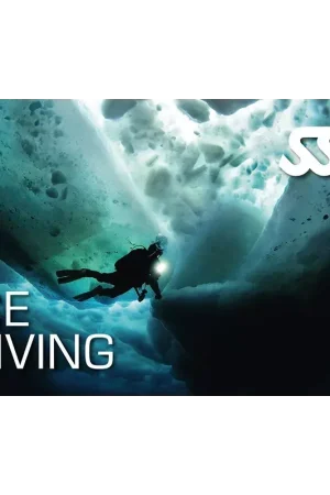 Livraison Express KIT NUMÉRIQUE ICE DIVING - SSI