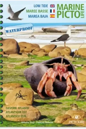 Expédition Rapide Marine Picto Life - Marée basse Atlantique Est (EN/FR/ES)