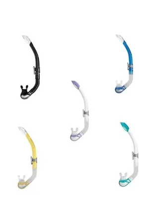 Offre Du Jour Tuba Bay