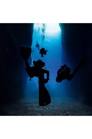 Seulement Aujourd'hui SÉANCE DE FORMATION PLONGEE PROFONDE - ARGONAUTE