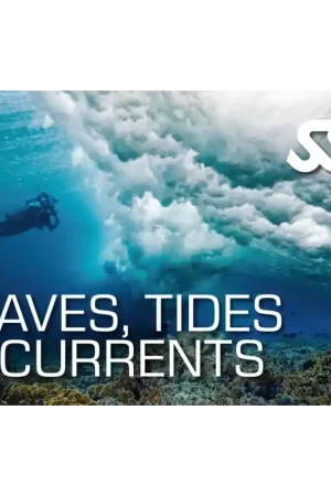 Prix Réduit KIT NUMÉRIQUE WAVES, TIDES AND CURRENTS - SSI