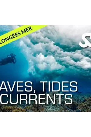 Acheter Direct Pack Formation Vagues, Marées et Courants - SSI