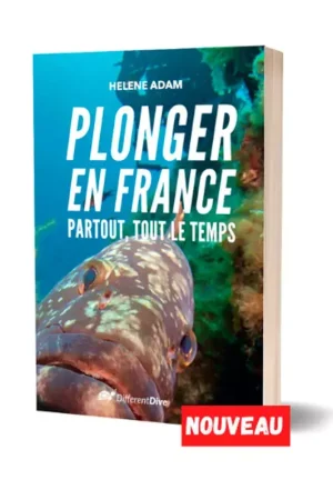 Authentique Plonger en France, Partout, Tout le Temps - Hélène Adam