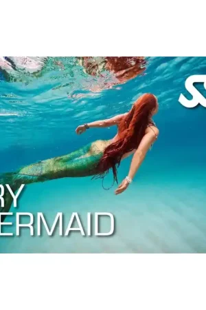 Vente Flash Formation Try Mermaid - SSI