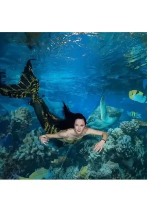 Séance Mermaiding Affaire À Saisir